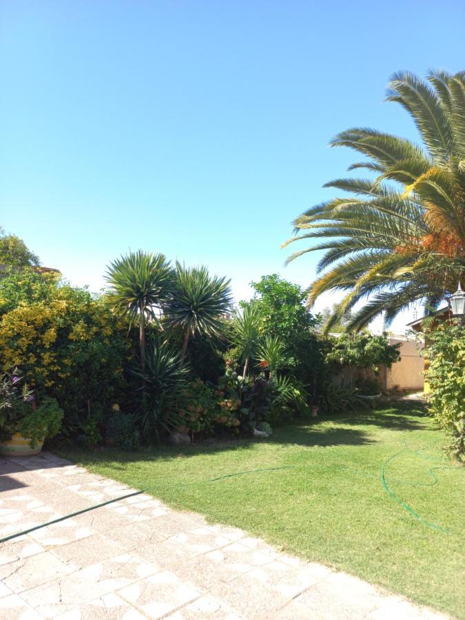 Apartment La Palmera *